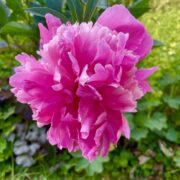 Pfingsten