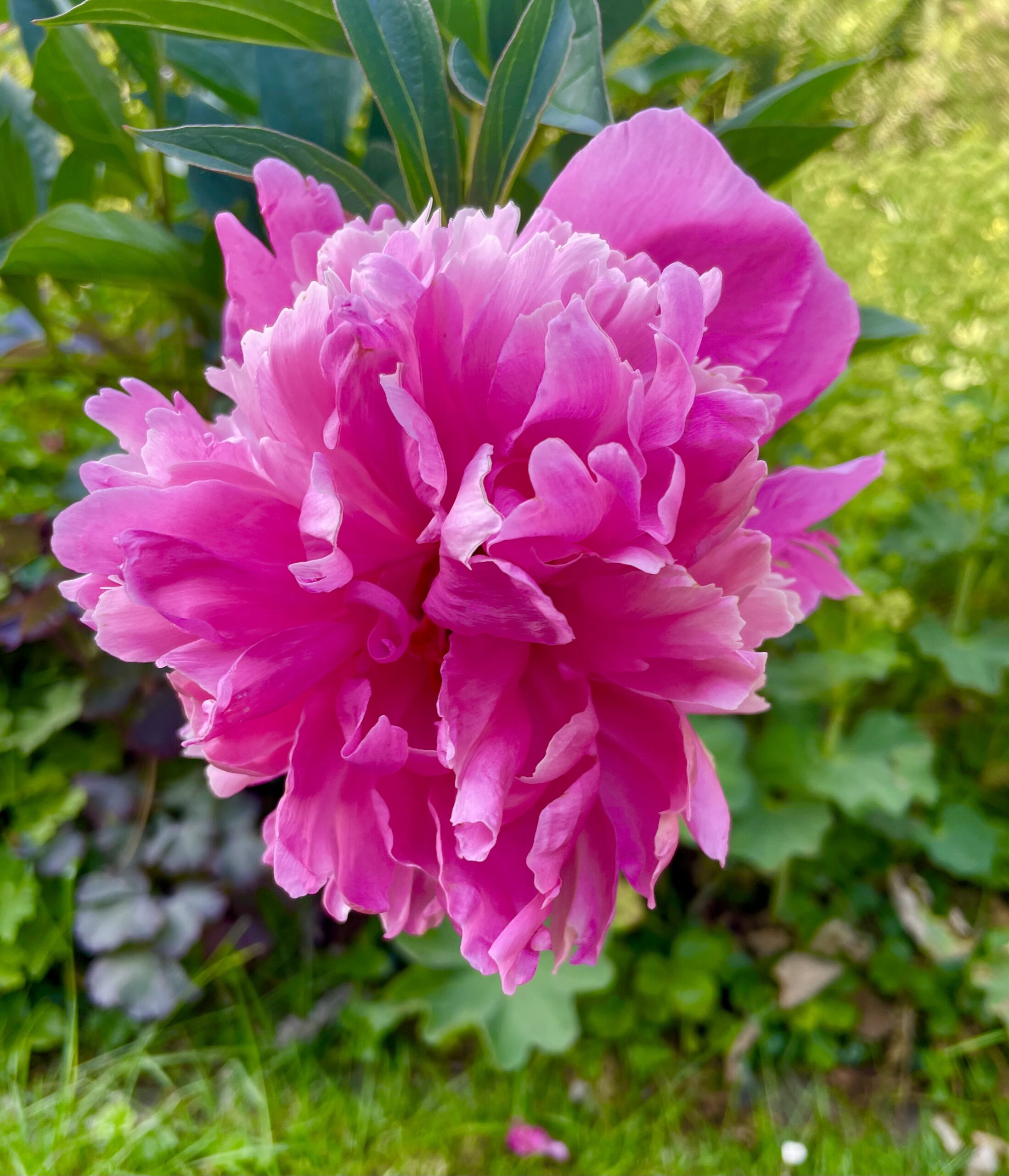 Pfingsten